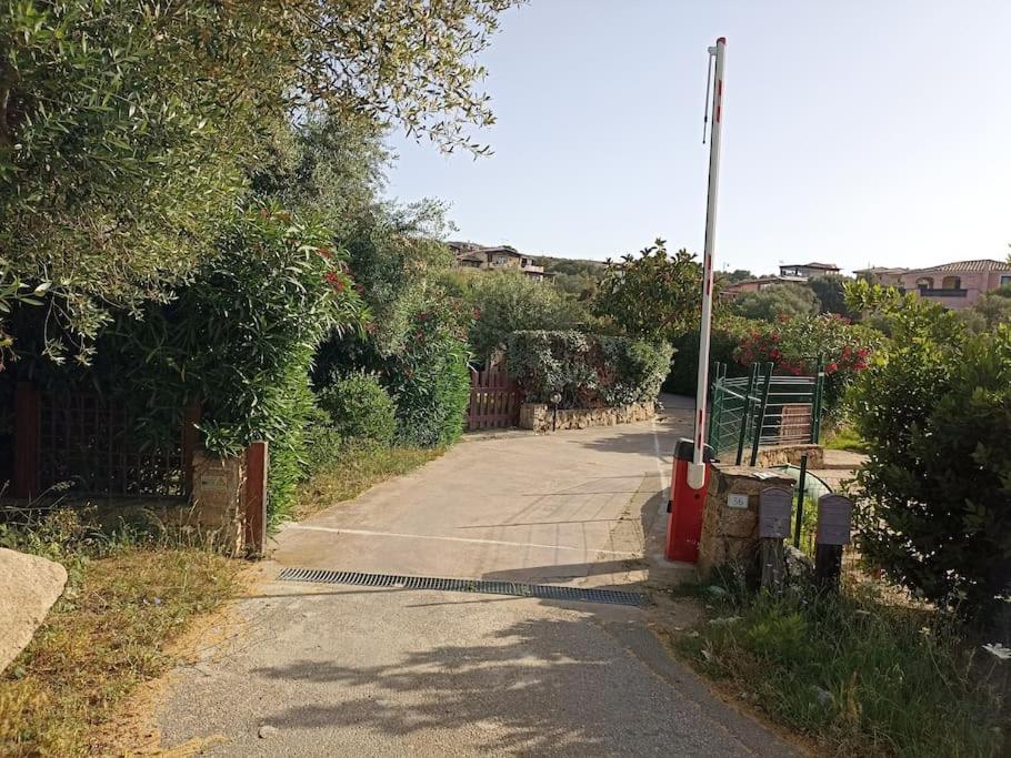 דירות אולביה La Dolce Dimora מראה חיצוני תמונה